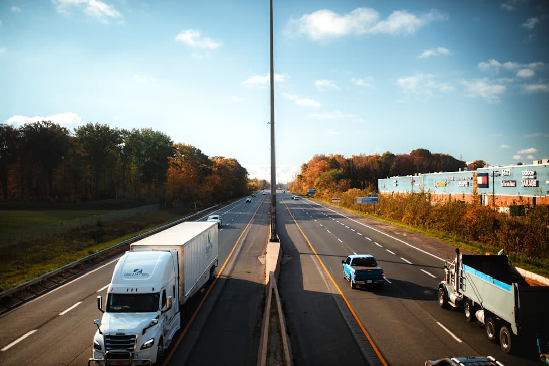 a highway filled with lots of traffic next to a forest